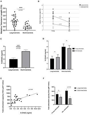 DNA damage (8-OHdG) and telomere length in captive Psittacidae birds with different longevity